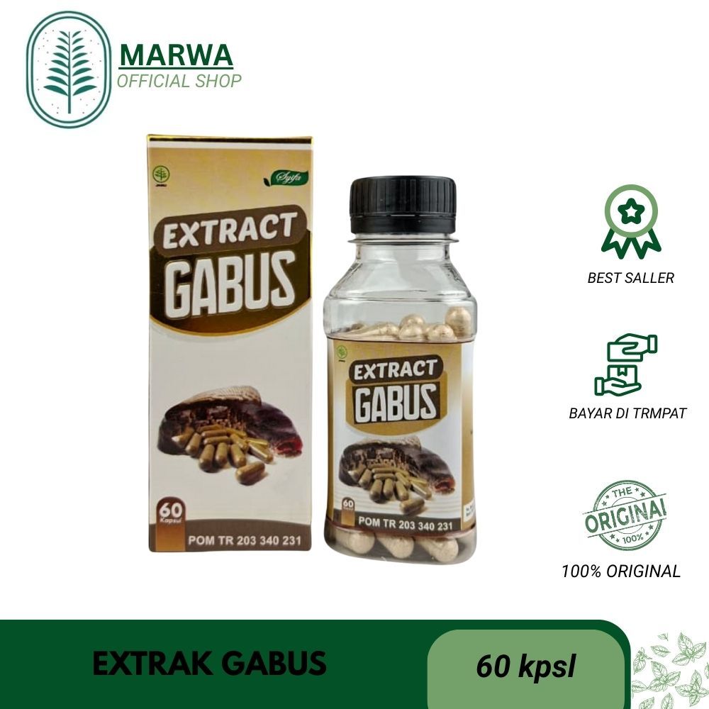 Ekstrak Ikan Gabus SYIFA BPOM 60 Kapsul Kapsul Albumin Ikan Kutuk Gabus Syifa Herbal Alami