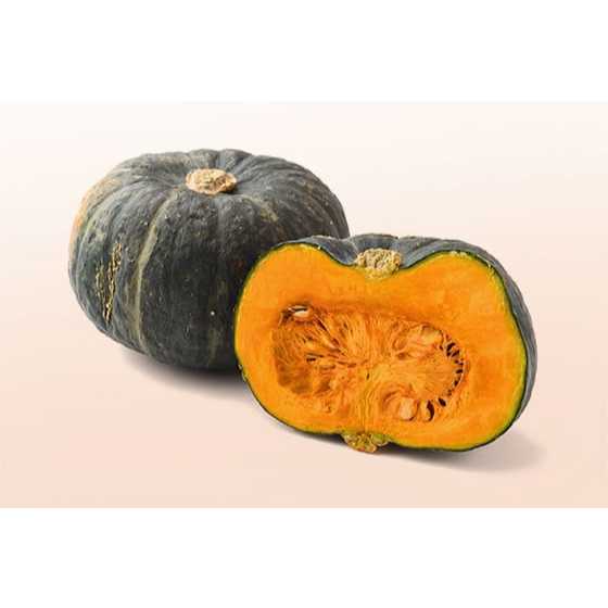 MURAH - BIBIT LABU  KUNING