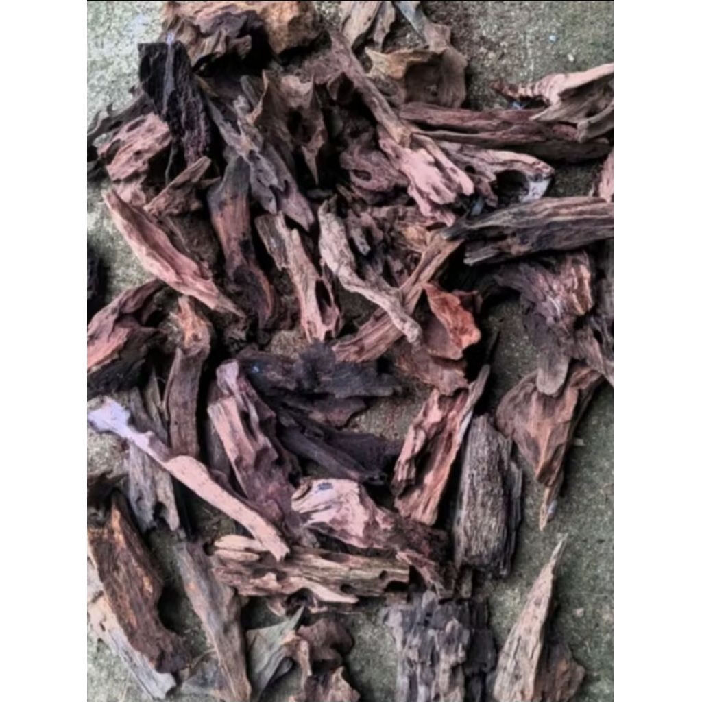 Kayu Rentek Mini Aquascape/Aquascape Kayu Rentek mini