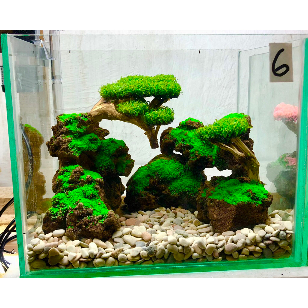 aquascape murah tema bonsai siZe 25x20x20 cm,fullset siap pandang tinggl isi air aja