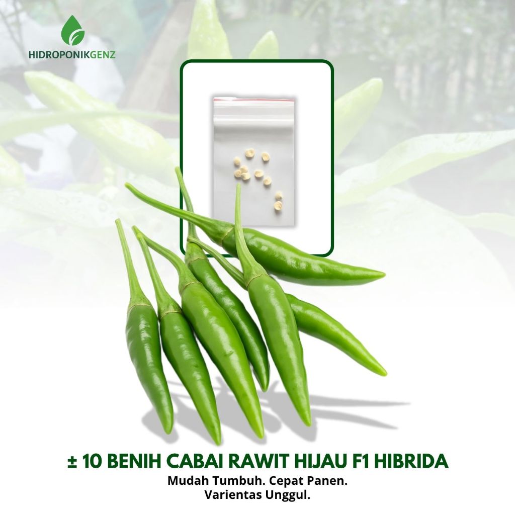 10 Benih Cabe Rawit Hijau F1 Hibrida