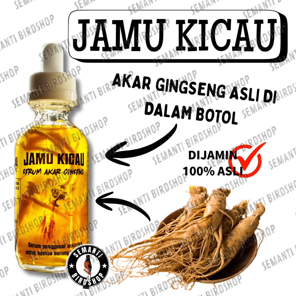 JUAL JAMU KICAU 1BOTOL SERUM AKAR GINGSENG ASLI BMW UNTUK BURUNG MURAI KACER CUCAK IJO PLECI KENARI