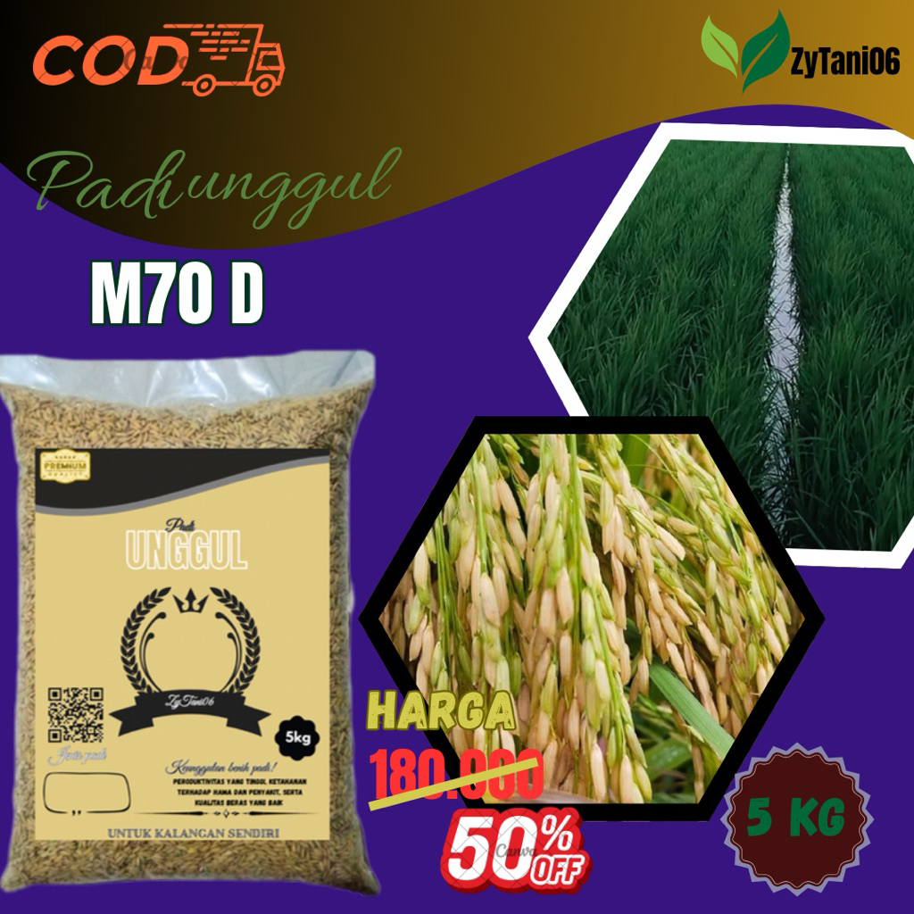 BENIH PADI M70 D kemasan 5kg