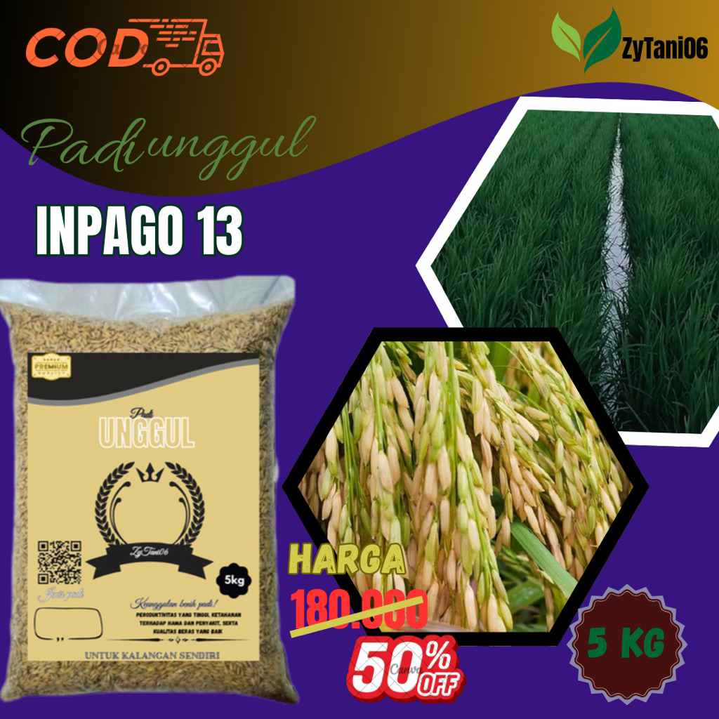 BENIH PADI INPAGO 13 KEMASAN 5kg