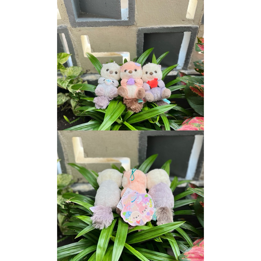Ganci Otter Amuse Kerang,Ganci Amuse Amufun