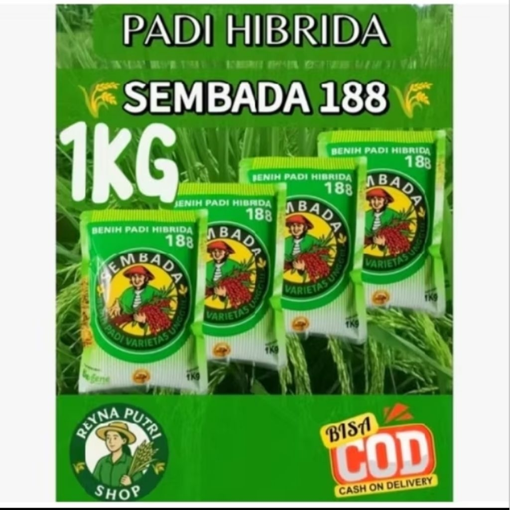 [1 KG ]BENIH PADI HIBRIDA 188 SEMBADA - Benih Padi Varietas Unggul Tanaman