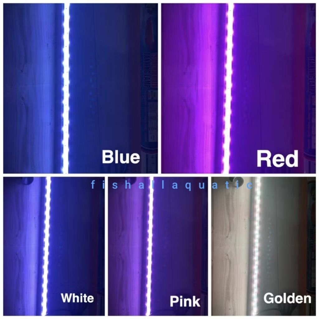 Tanning Lamp Lampu Tanning Arwana SAKKAI PRO T5 DOUBLE 600 LED