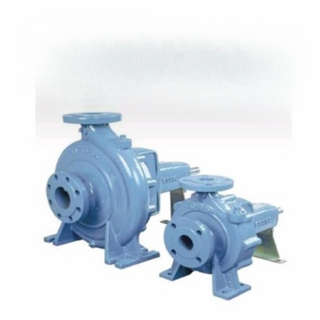 Centrifugal Pump Ebara 80 x 65 FSHA MS