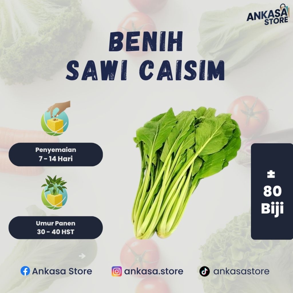 Benih Sawi Caisim Manis