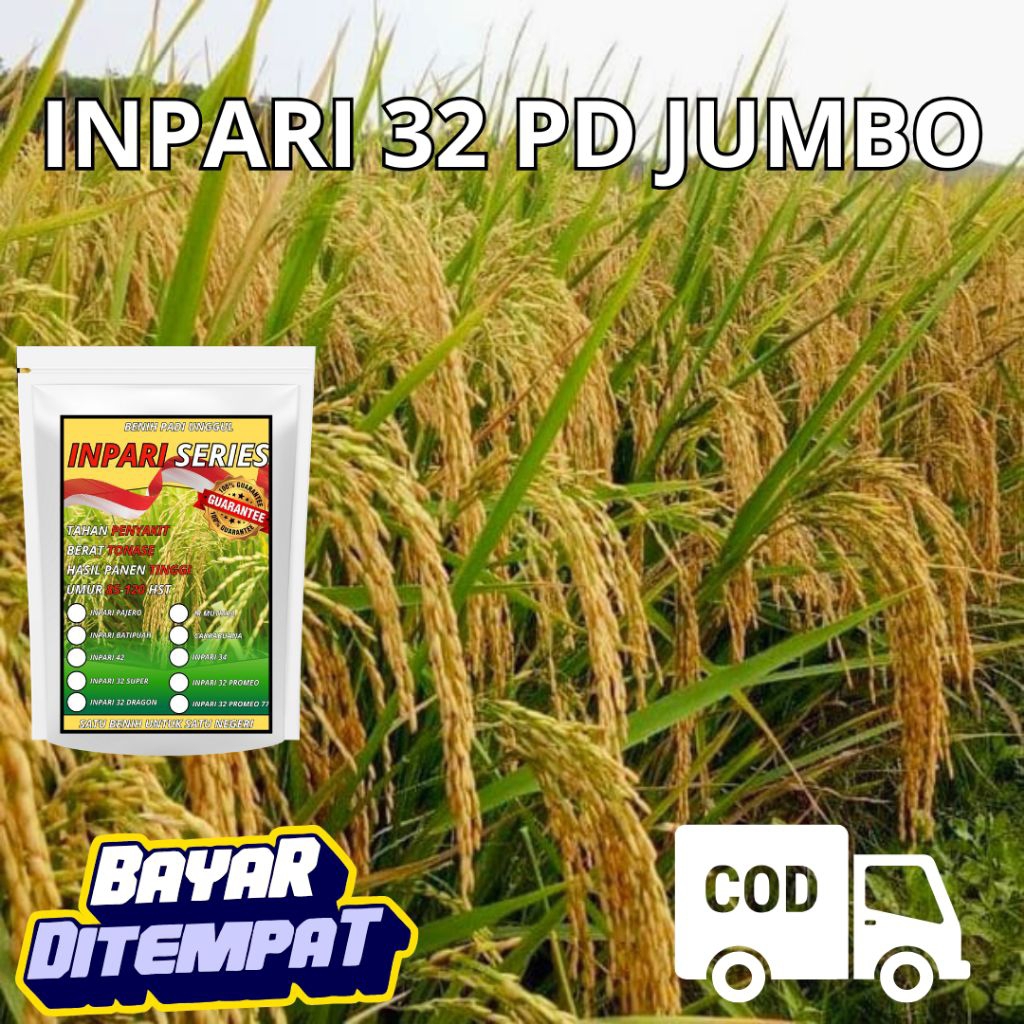 Benih Padi Unggul Inpari 32 PD Jumbo 1kg Original berkualitas