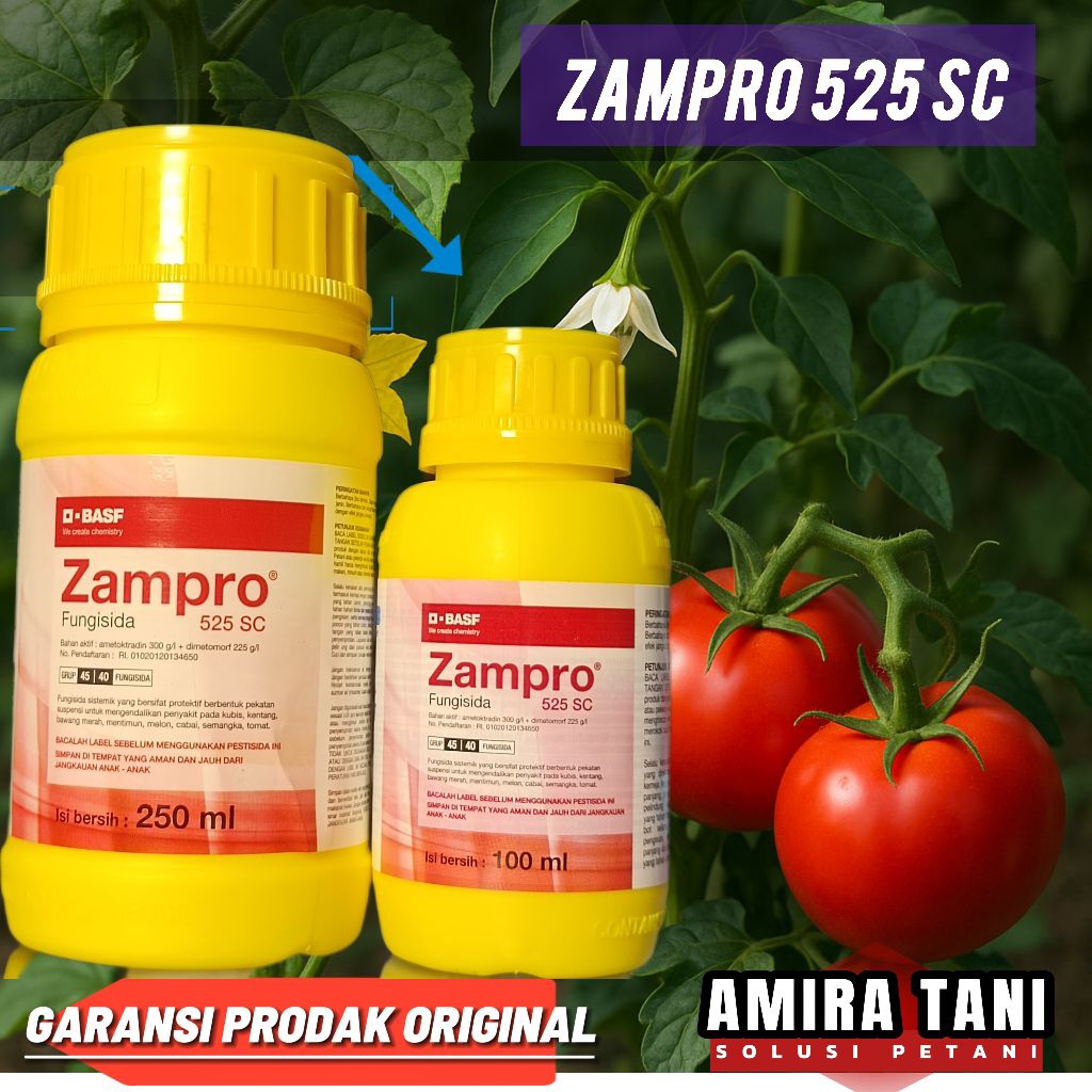 Fungisida Zampro 525 sc busuk batang dan busuk daun