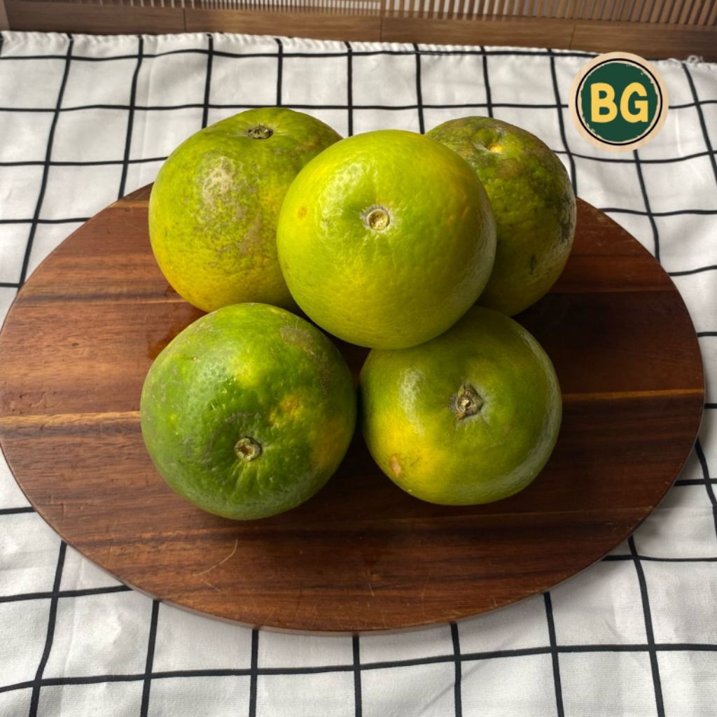 jeruk baby Java 1kg ,jeruk baby Java murah grosir