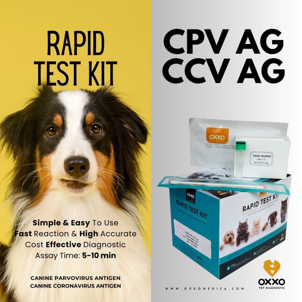 Test Kit Combo CPV/ CCV - Canine Parvovirus /Coronavirus Antigen Combo Rapid Test