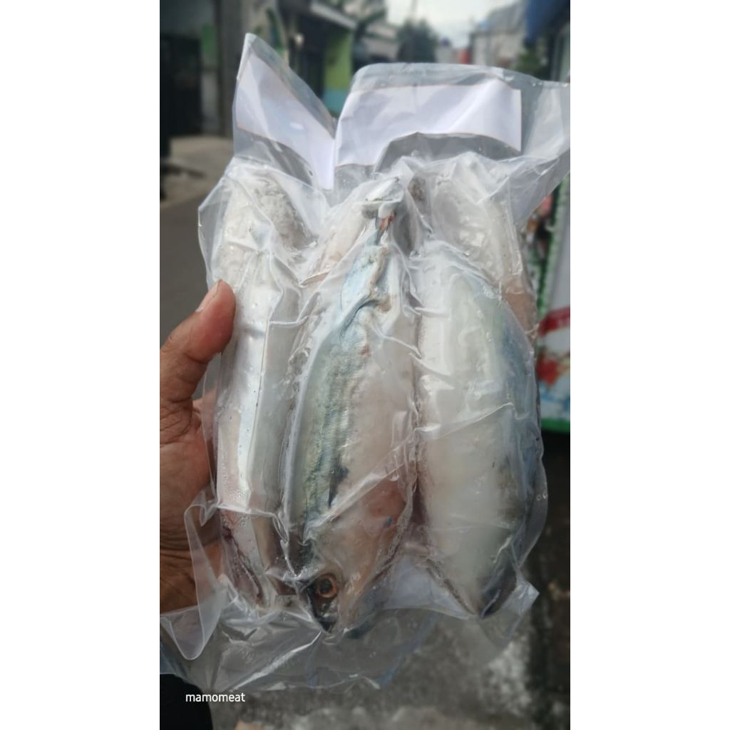 ikan kembung Banjar frozen