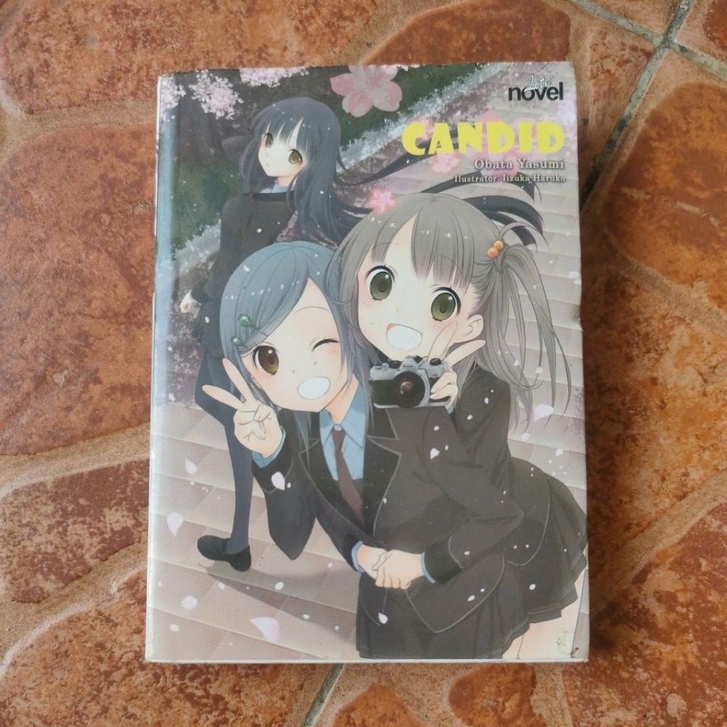 LITE NOVEL CANDID OBATA YASUMI ILUSTRAYOR : IZUKA HARUKO