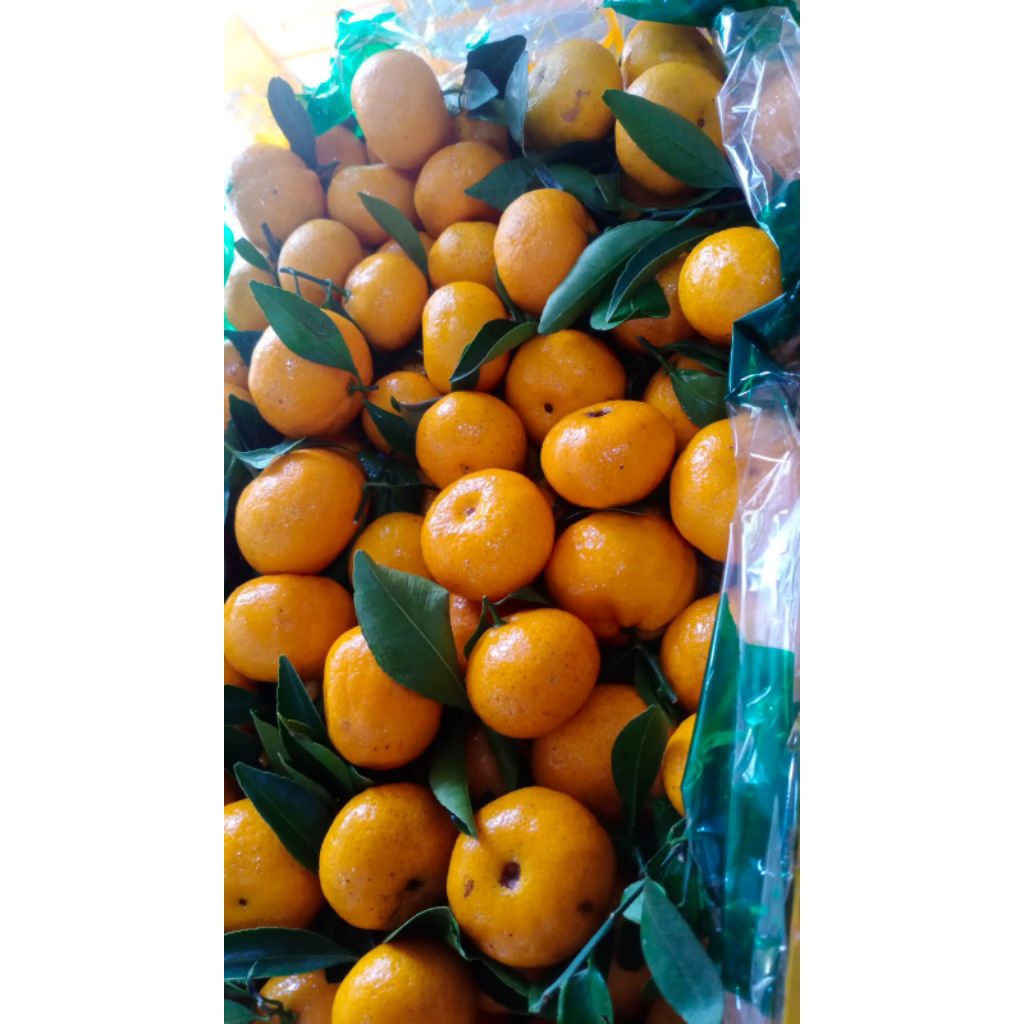Jeruk Santang Birma manis 1kg