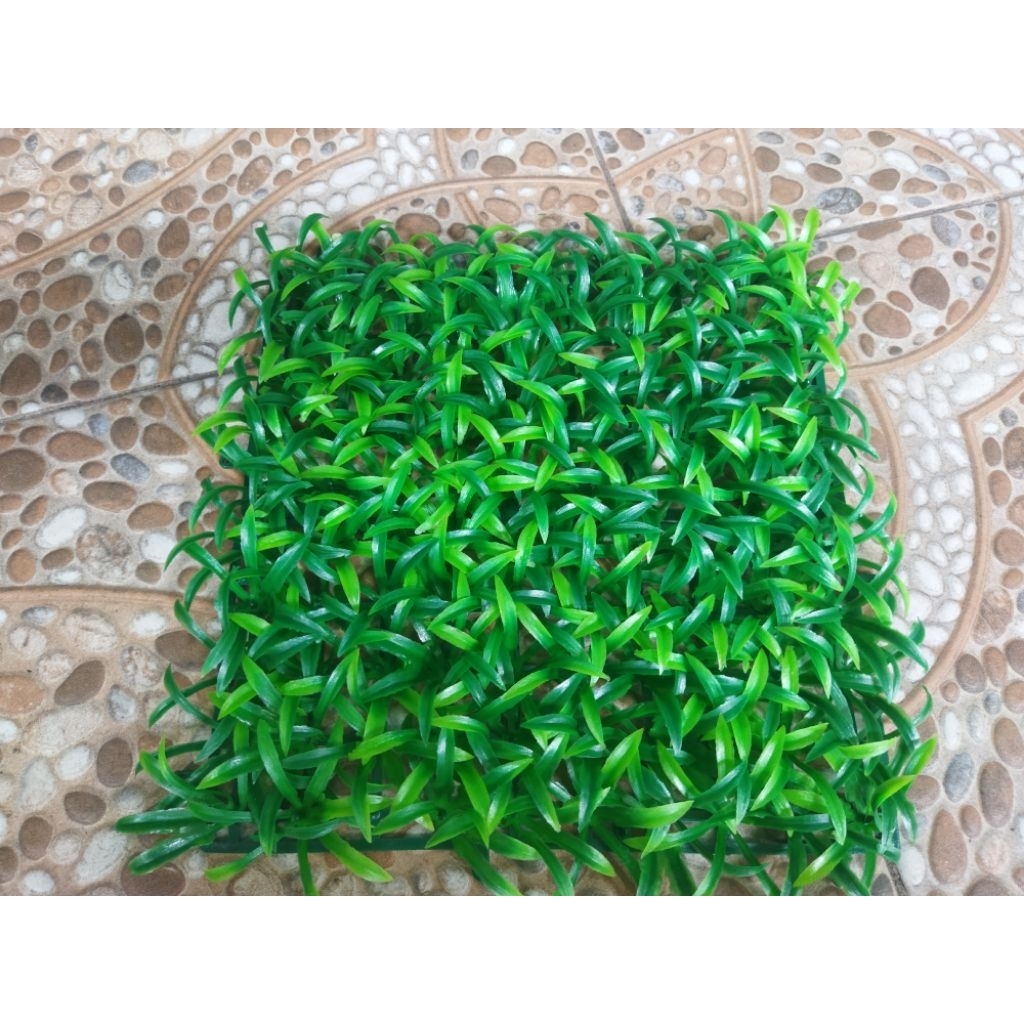 rumput gajah mini sintetis