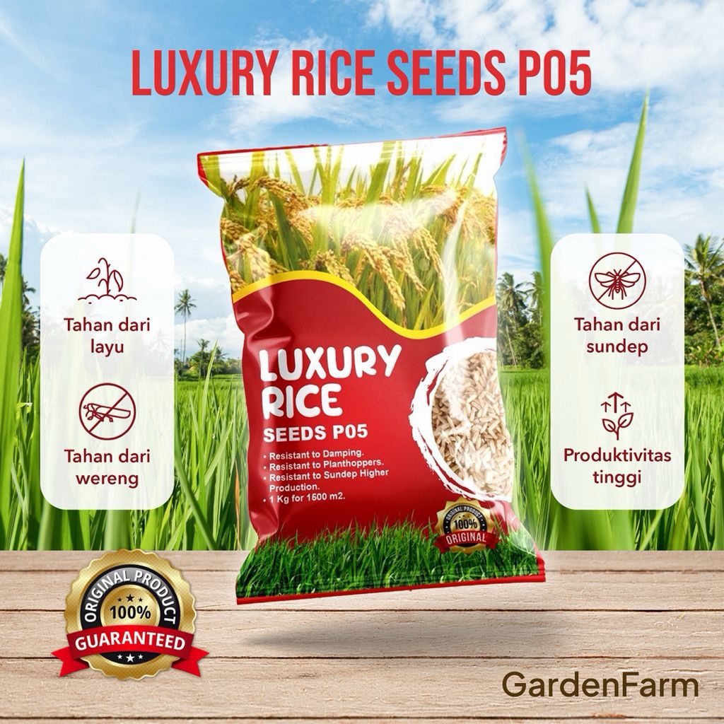GARDENFARM - BENIH PADI P05 1 KG - BIBIT PADI UNGGUL - BIBIT PADI SAWAH - BENIH PADI PREMIUM - BIBIT