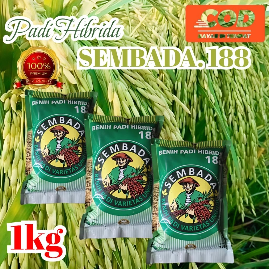 benih padi Hibrida Sembada 188 kemasan 1kg