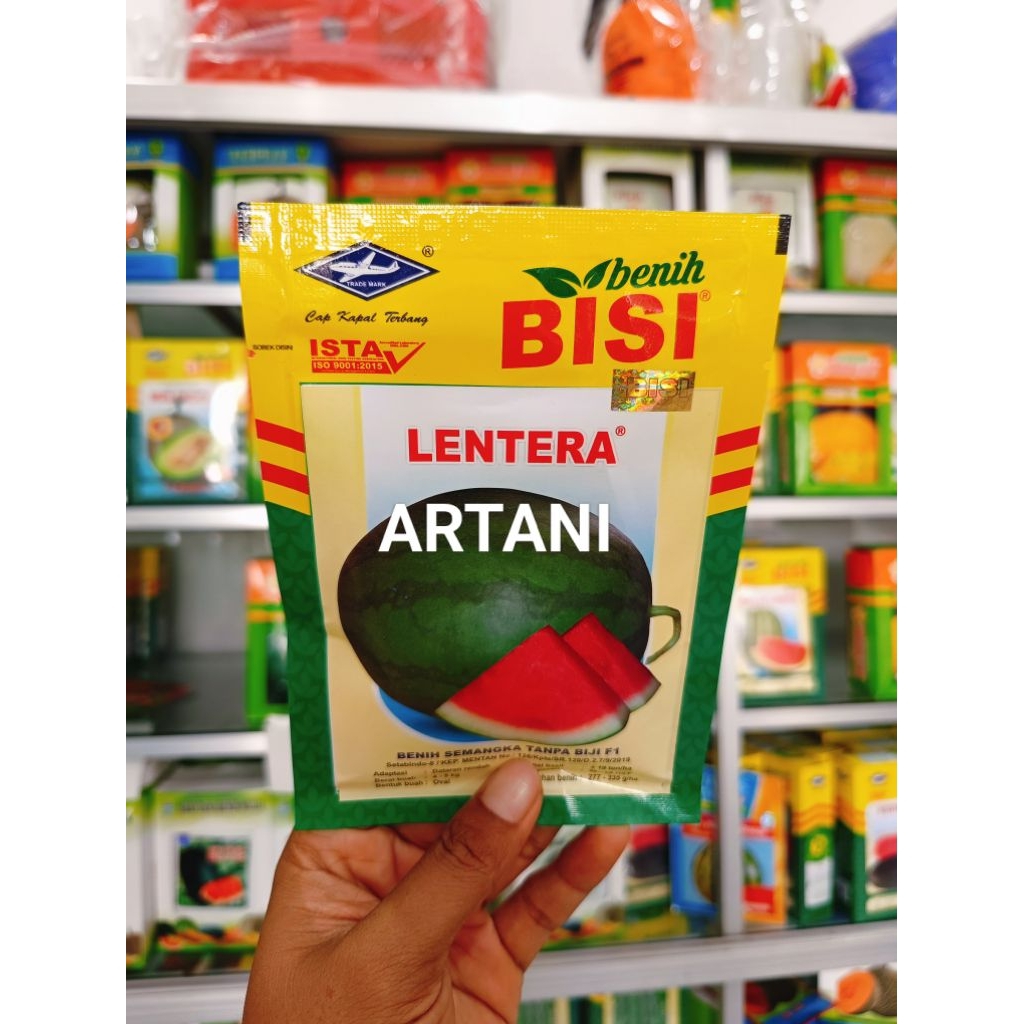 Benih Bibit Semangka Non Biji Lentera F1 (Mudah perawatan nya dan mudah penjualan nya kaka) isi 20 G