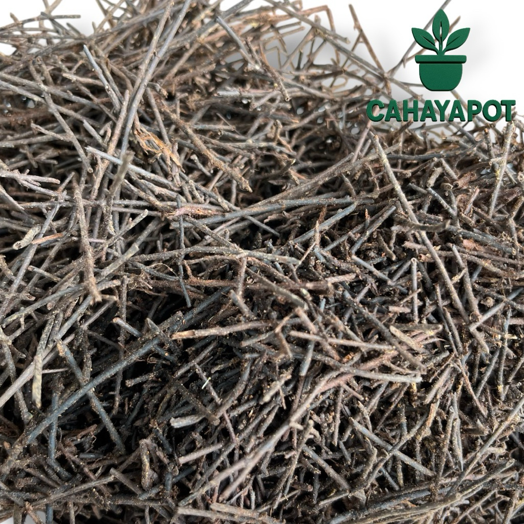 Media Tanam Akar Pakis Cacah Karungan - Akar Pakis Halus - Media Pakis cacah