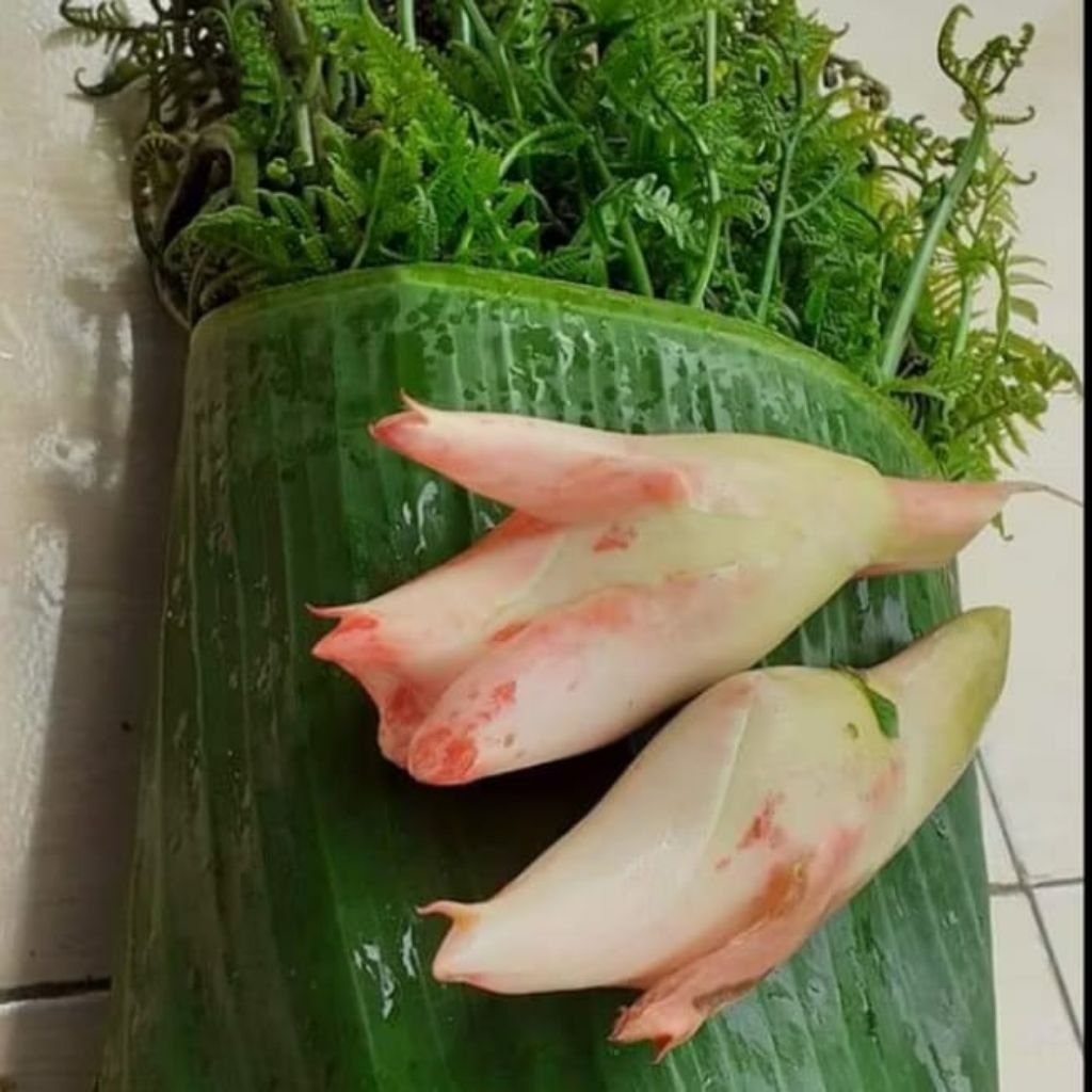 1paket siap tumis/osreng sayur pakis, kecombrang merah