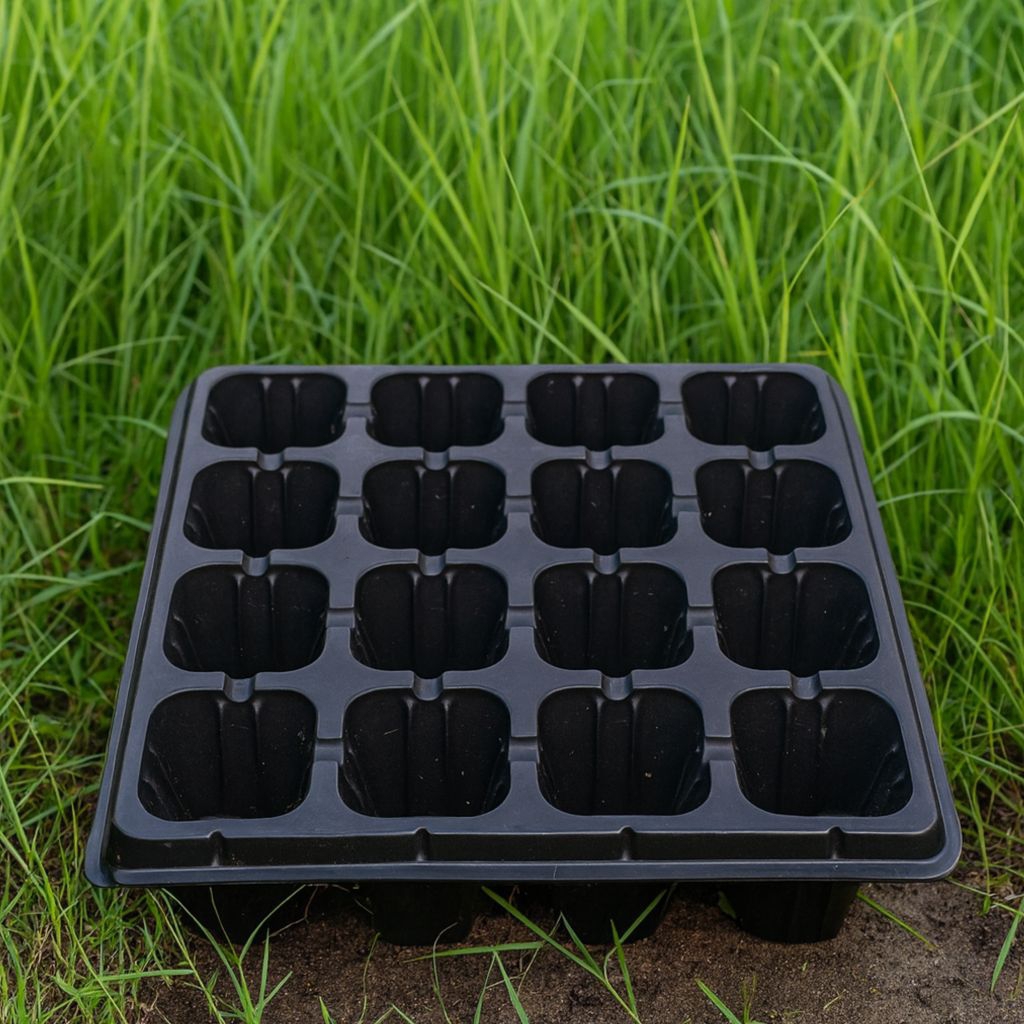 Tray Semai 16 Holes / Tray Tanaman / Tray Benih Bibit Tanaman