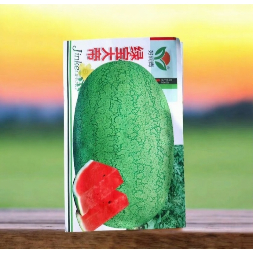 Benih Semangka Jumbo Lonjong Merah Tanpa Biji Import / Benih Semangka Jumbo Premium