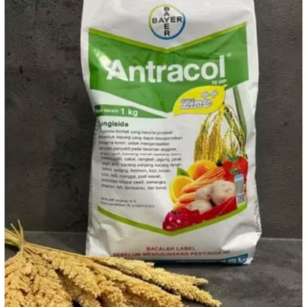 antracol 1kg