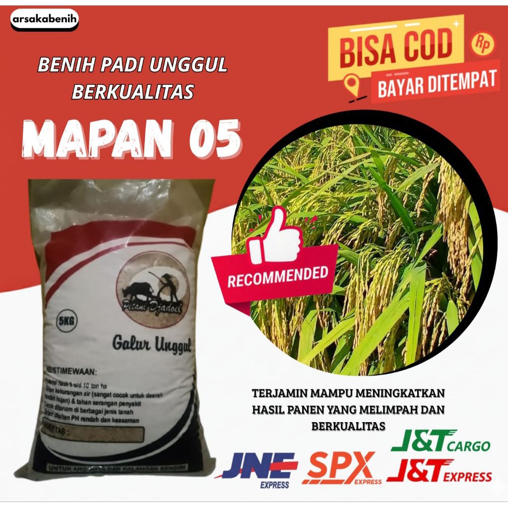 benih padi Unggul mapan 05 kualitas bagus kemasan 5kg