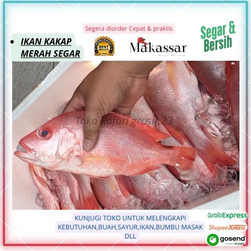 Ikan Kakap Merah Segar—Daging Putih Manis, Cocok Bakar&Sup Kakap Merah Premium—Ukuran Besar, Super F