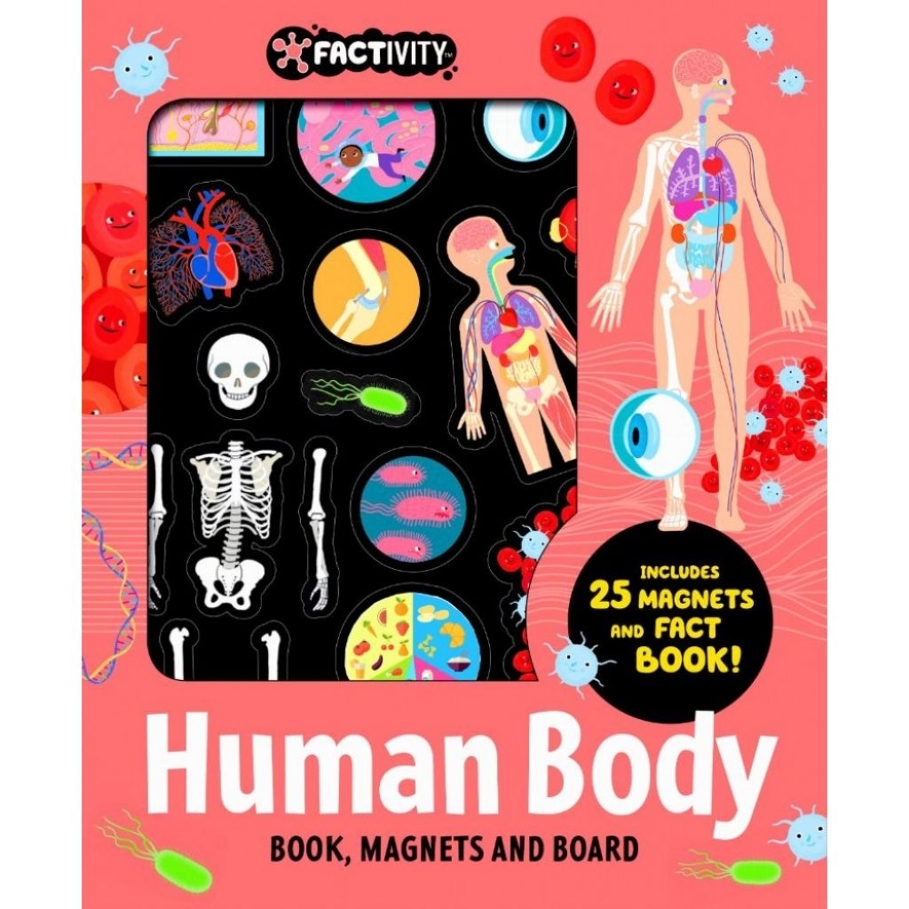 BUKU FACTIVITY HUMAN BODY BOOK, MAGNETS, BOARD
