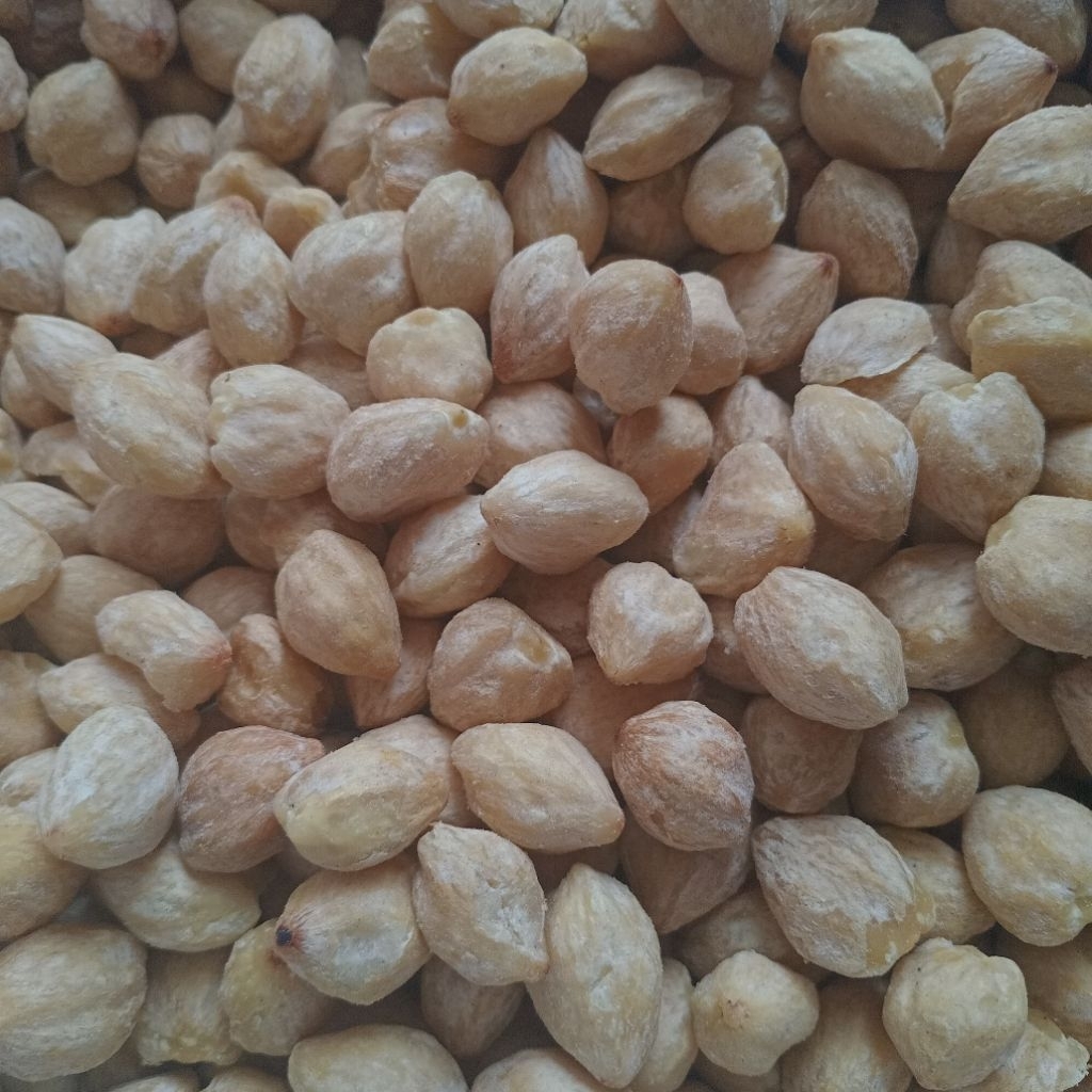Kemiri 1 KG