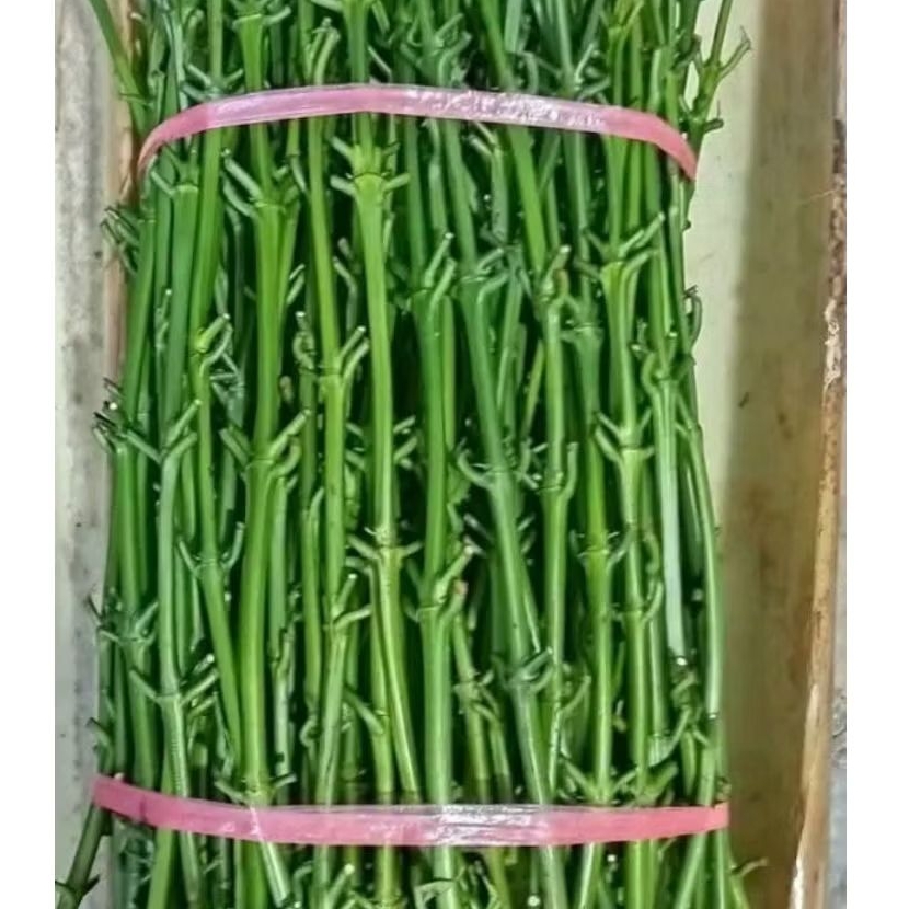 Entres Kopi Robusta Lampung 1 kg