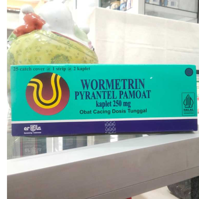 Wormetrin Pyrantel Pamoate 250mg Strip Isi 2 Tablet Obat Cacing Keluarga