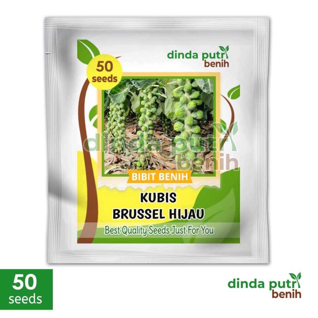 Biji benih Kubis mini BRUSSEL Hijau isi 50 biji,benih kubis / kol mini