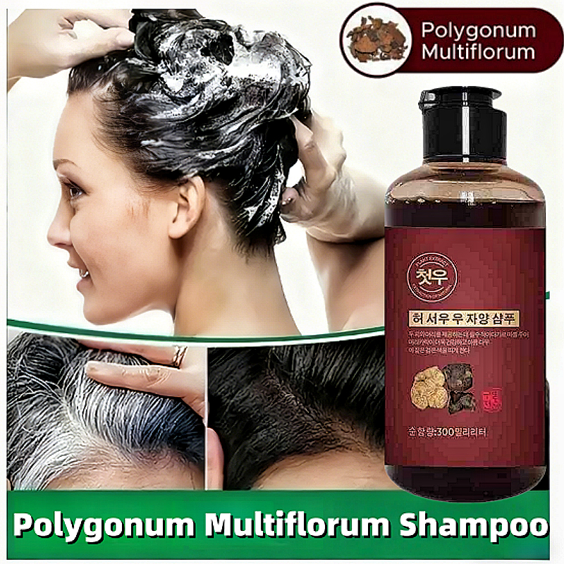 [Pengiriman 24 jam/COD] Sampo Black Herbal Natural Anti Dandruff Gingseng 300ML/Shampo Penghitam Ram