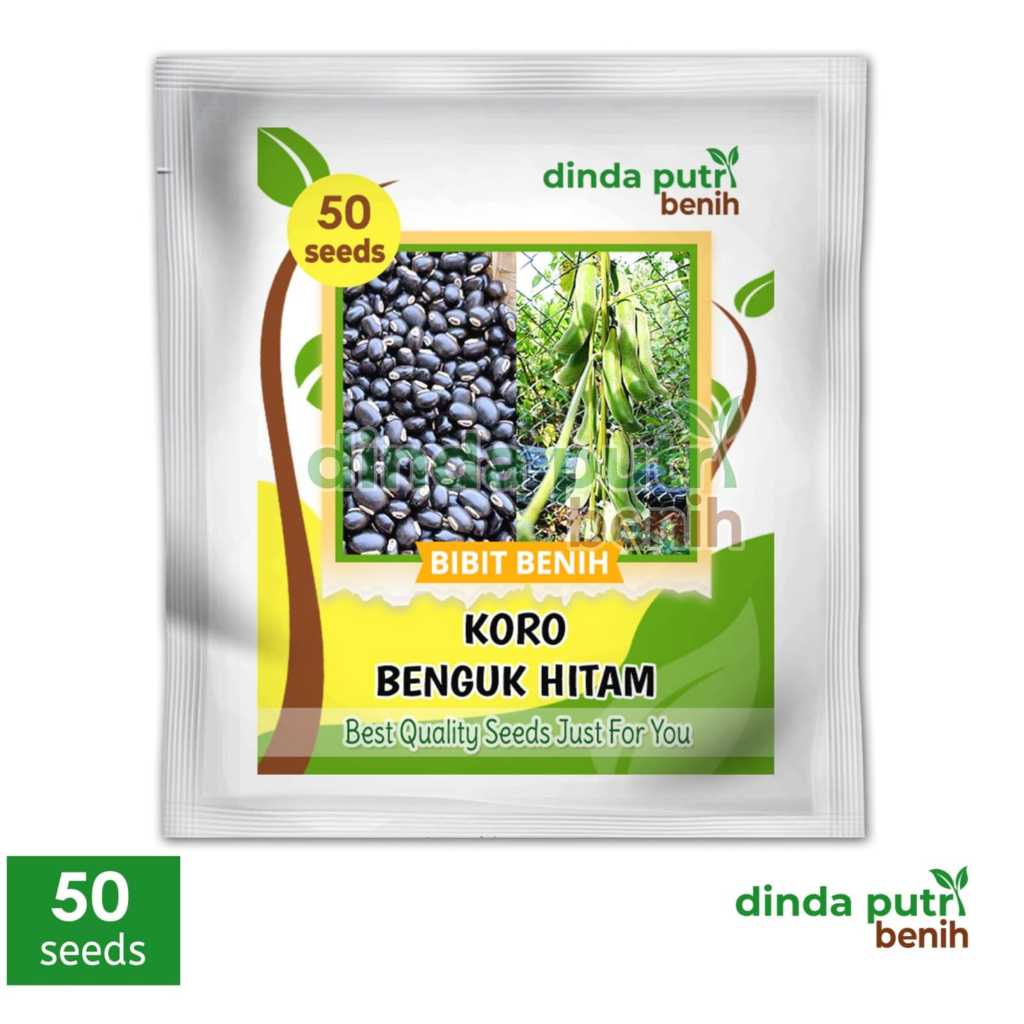Biji Benih Koro Benguk Hitam isi 50 biji, benih black mucuna pruriens