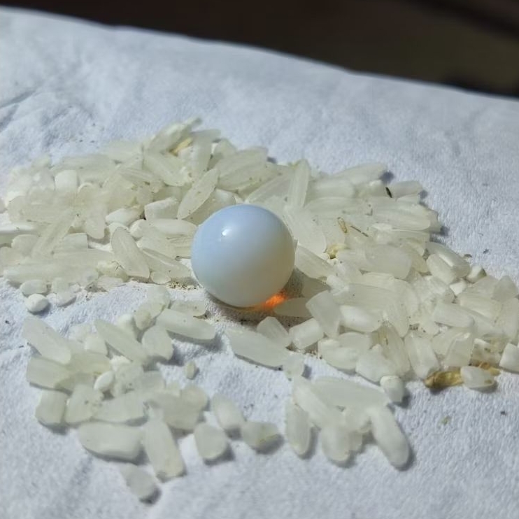 Batu buntat lipan barjad api origin