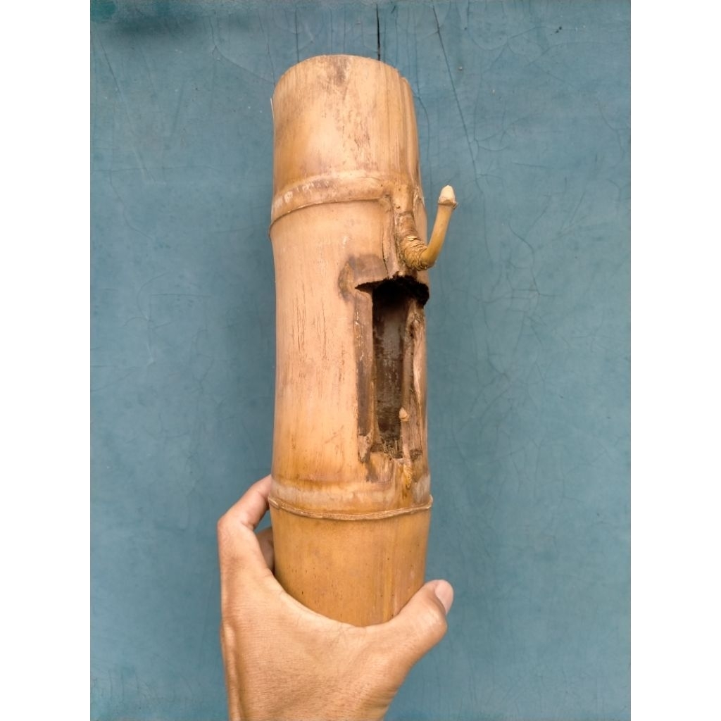 BAMBU UNIK PETUK JALU BATANG UTAMA (28 CM) APUS ISTIMEWA