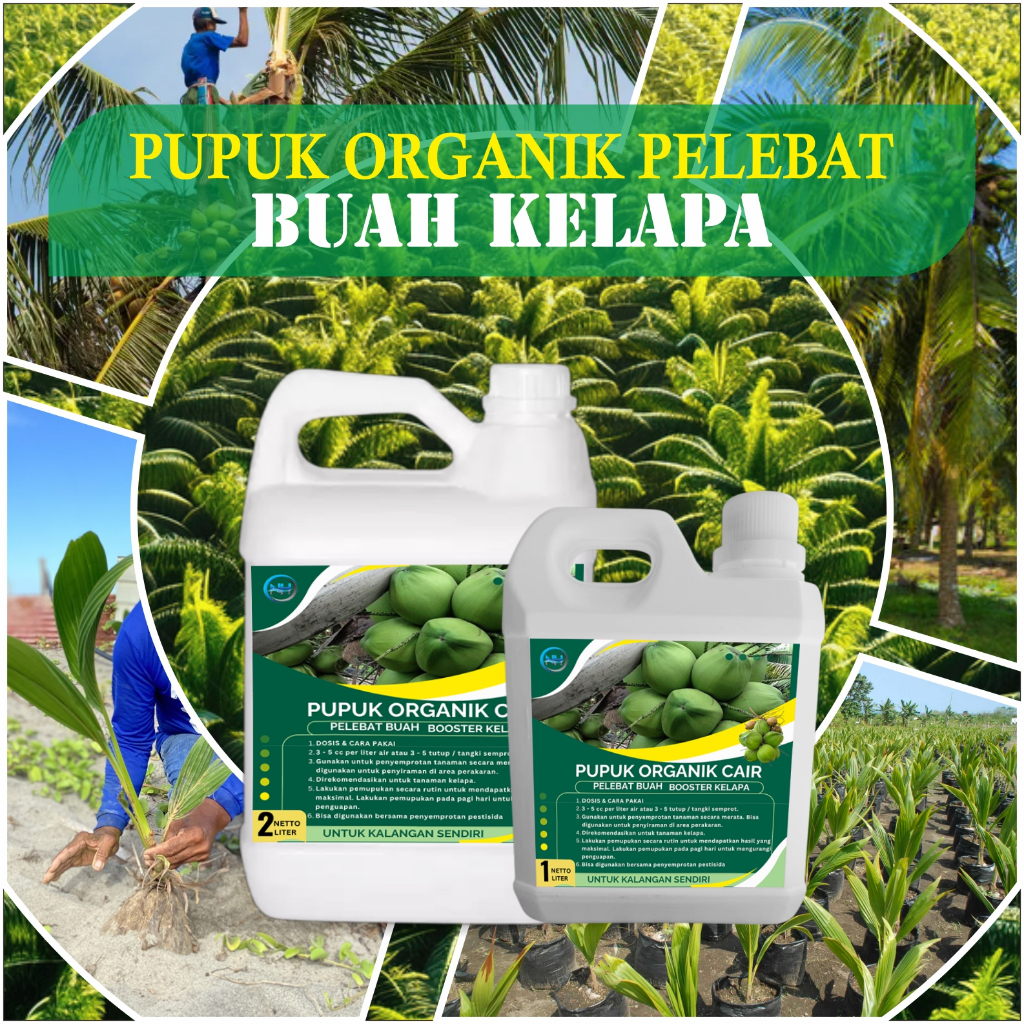 Pupuk booster buah kelapa cair 1/2 liter, melebatkan bunga dan buah cocok untuk bibit kelapa gading,