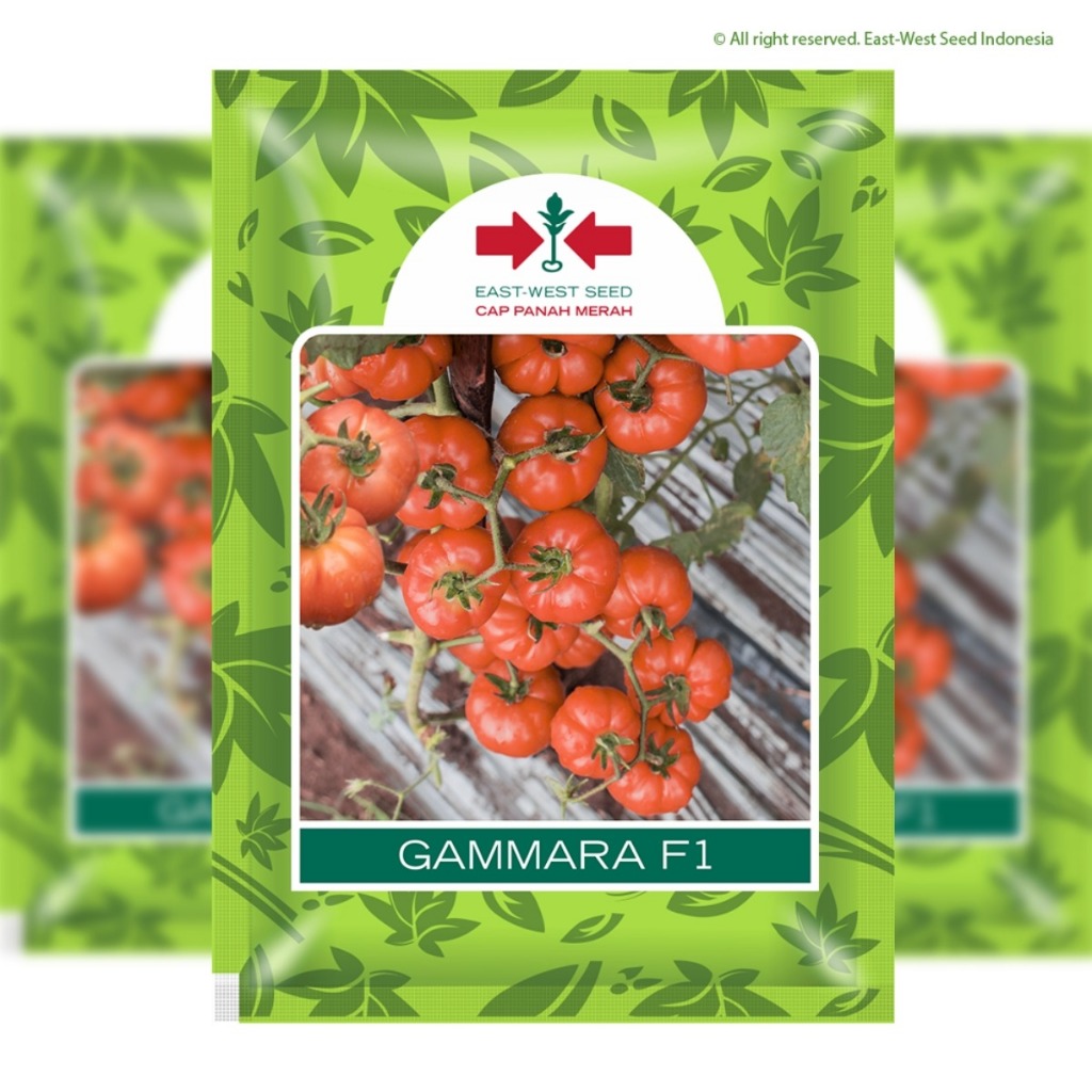 CAP PANAH MERAH - 150 BUTIR BENIH/BIBIT TOMAT MAWAR GAMMARA F1