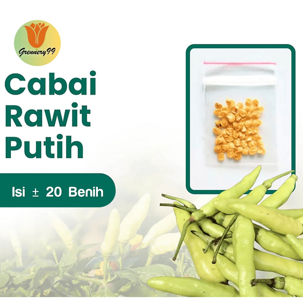 Benih Cabe Rawit Putih Merunduk Unggul