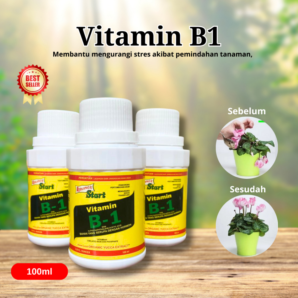 Vitamin B1 Tanaman 100ml-Vitamin B1 Anti Stress Tanaman Kemasan 100ml-Vitamin B1 Tanaman Murah