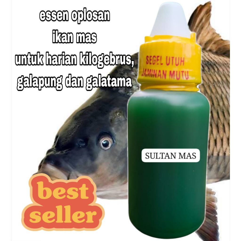 ESSEN OPLOSAN IKAN MAS UNTUK HARIAN, GALAPUNG, DAN GALATAMA DLL