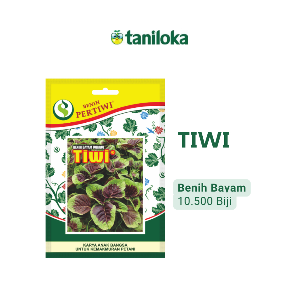 Benih Pertiwi - Benih Bayam Tiwi (10.500 Biji)