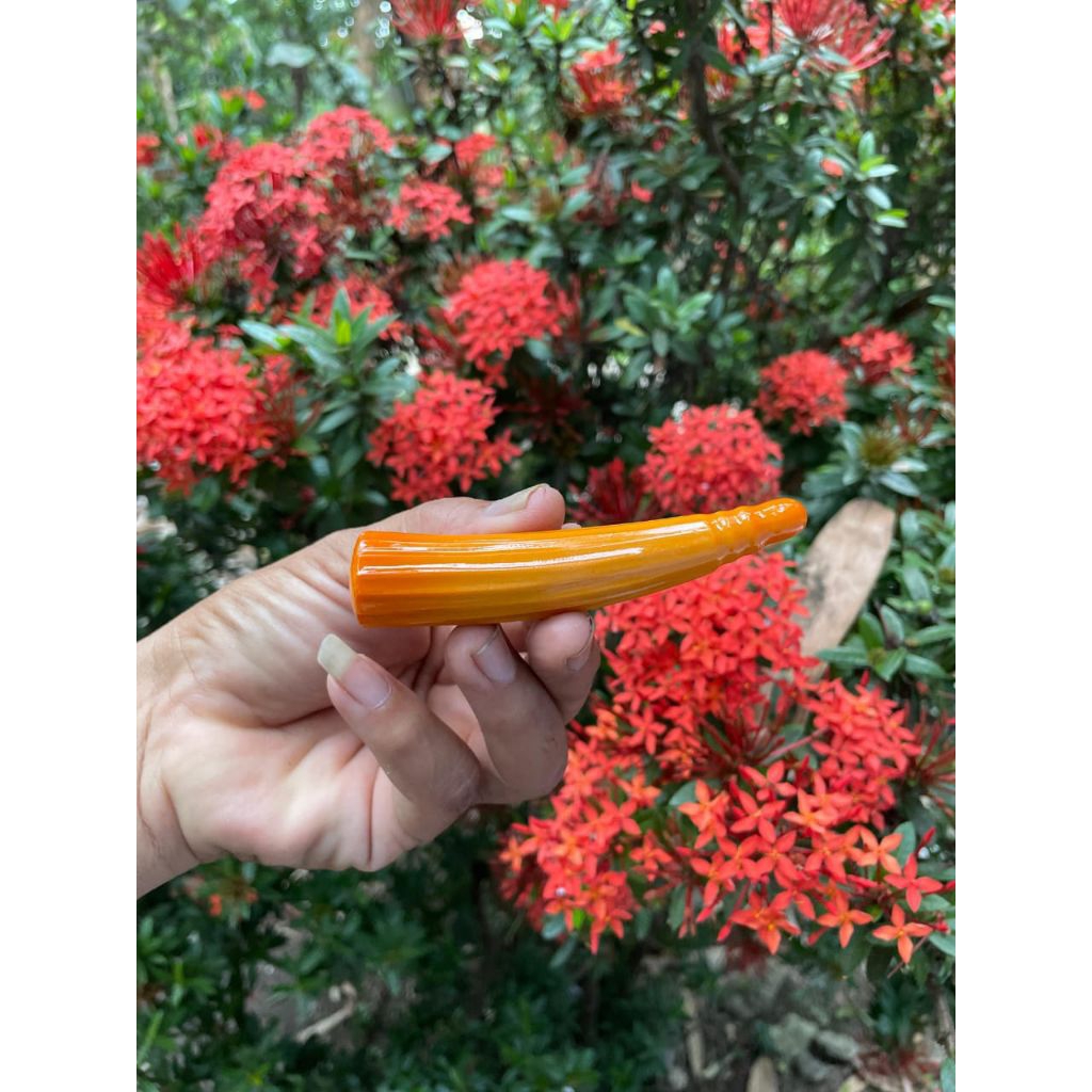 pipa / oncce lawasan gg model belimbingan