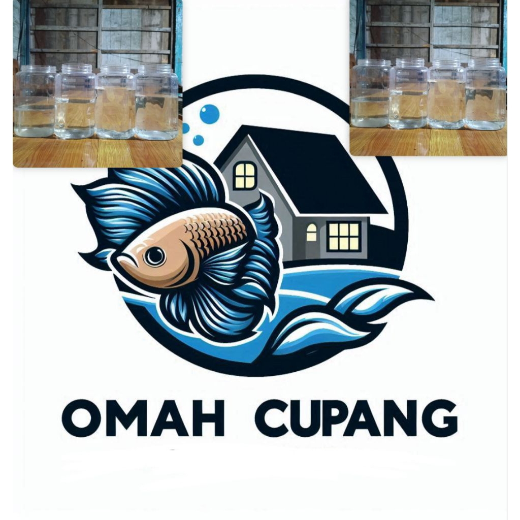 toples ikan cupang