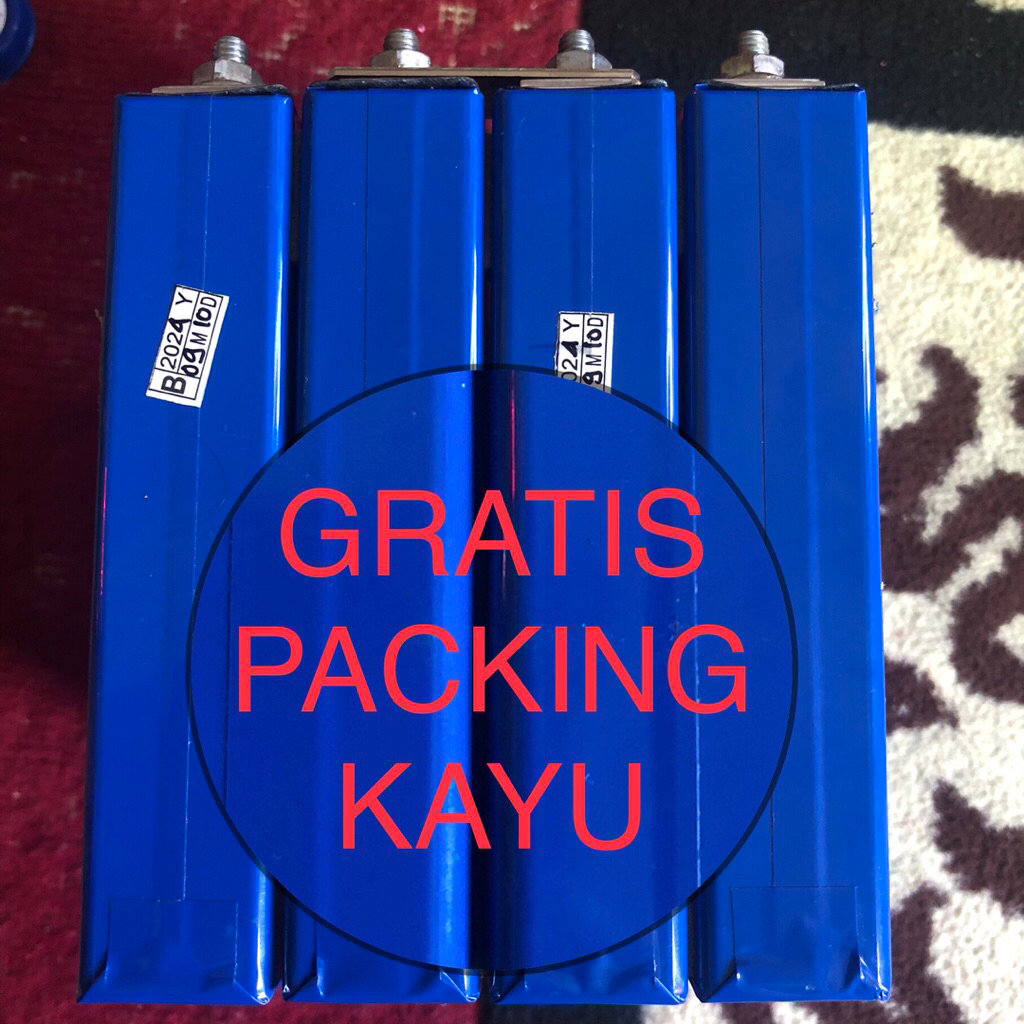 Batre lifepo4 100a bekas second