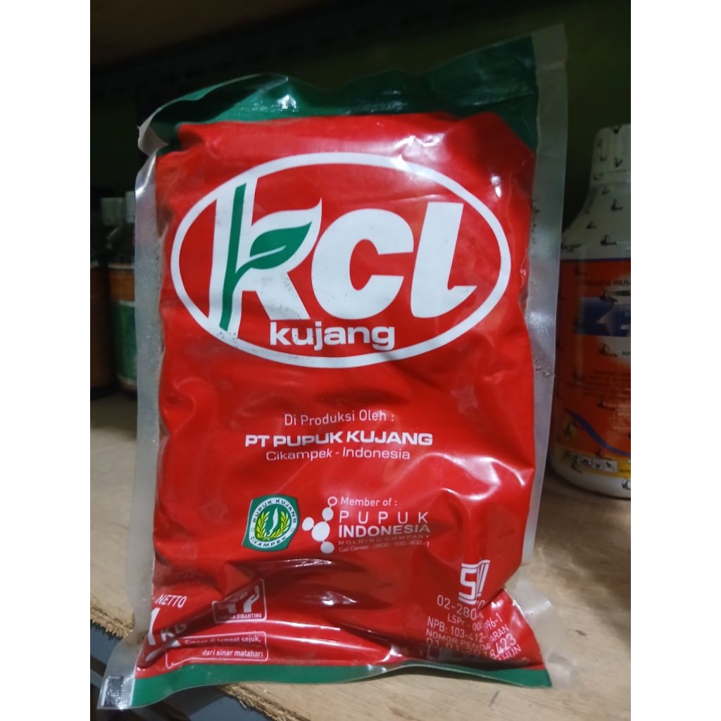 KCL KUJANG 1 KG